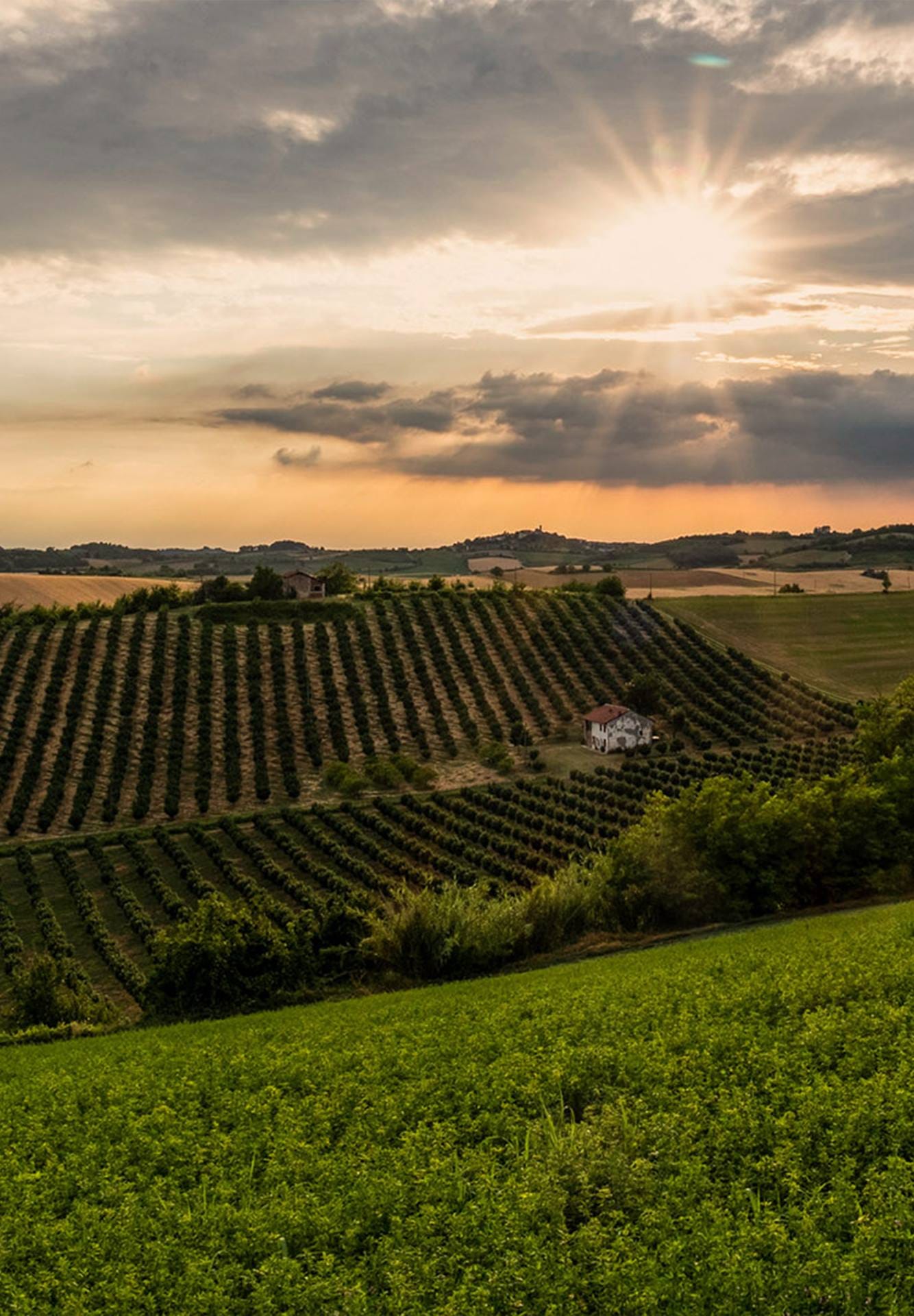 Heromobile Colline De Monferrato