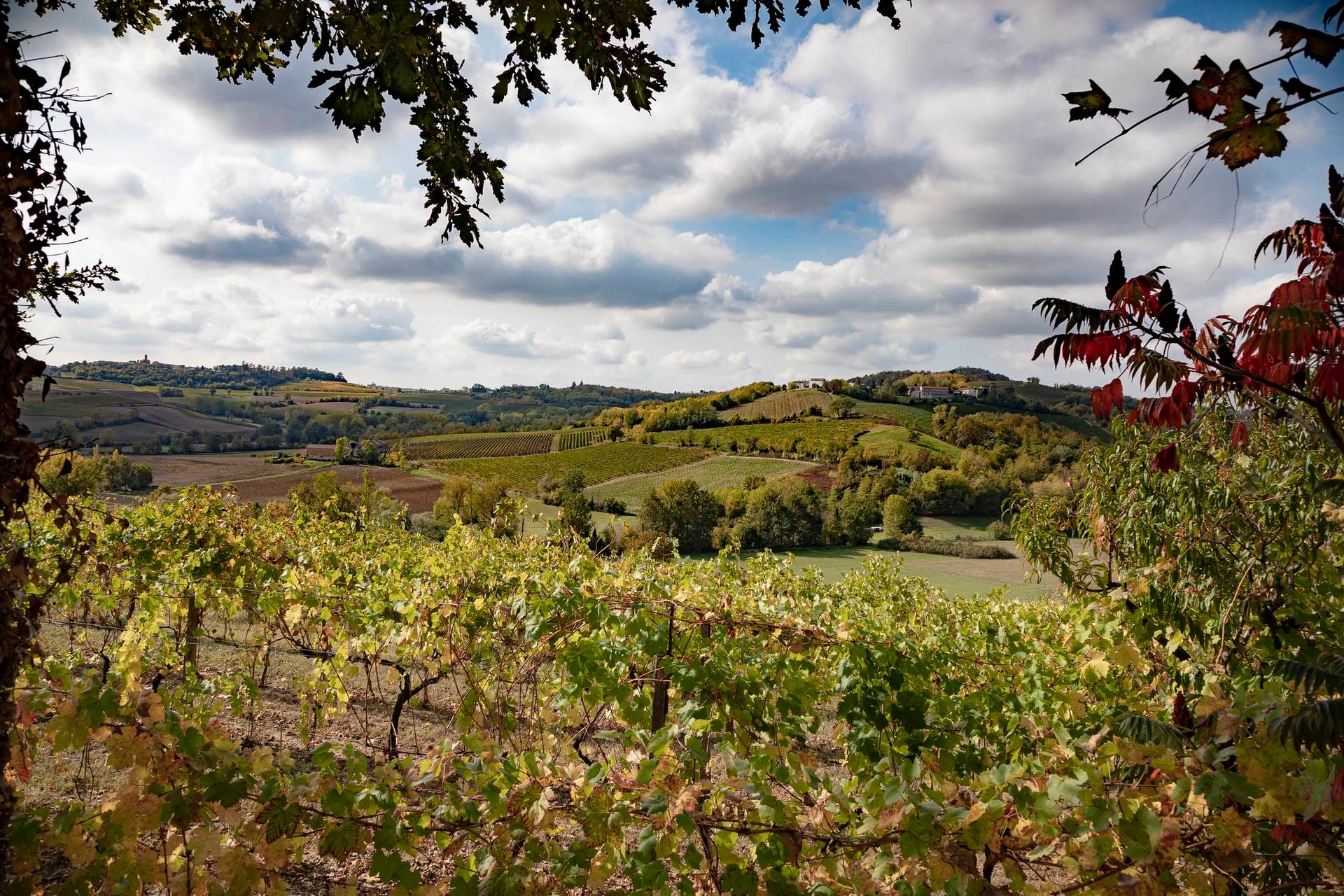 Ariotto Village Monferrato Esperienze 2000